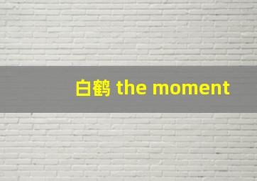 白鹤 the moment